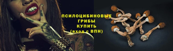 гашик Балахна