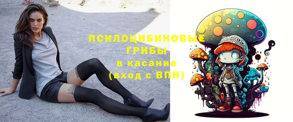 шишки Баксан