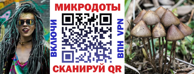 Купить где  Ивдель  Псилоцибиновые грибы MAGIC MUSHROOMS 